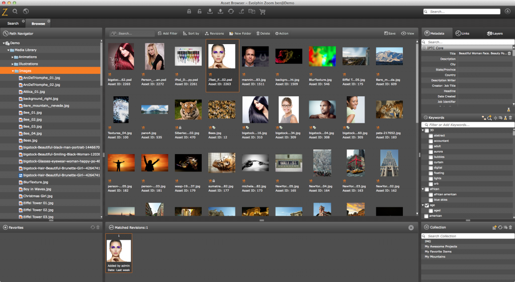 Browse Mode - Asset Browser