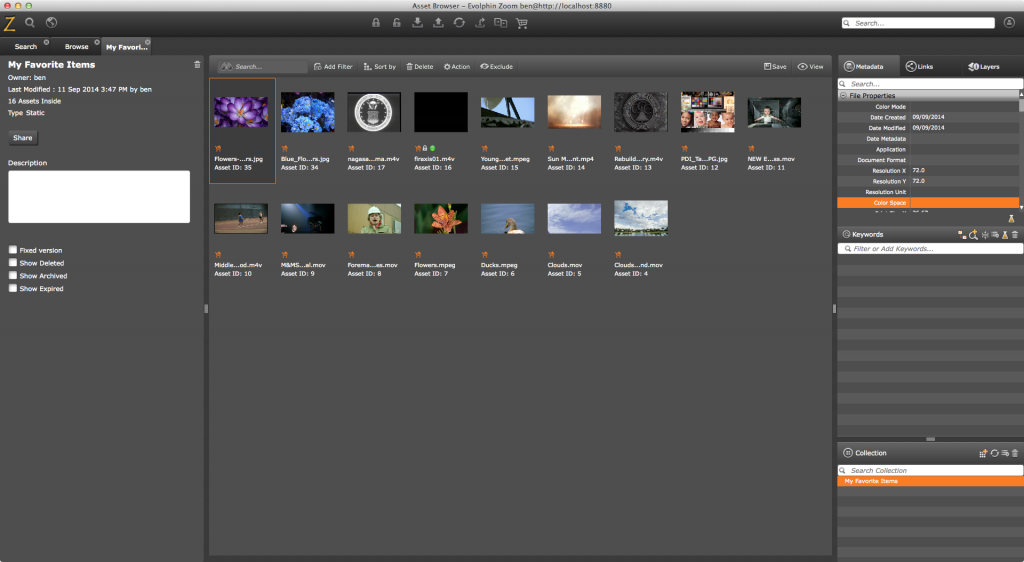 Collections - Asset Browser