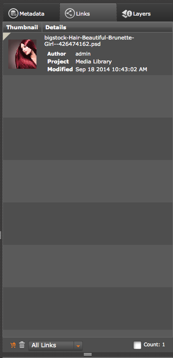 Links Panel - Adobe InDesign