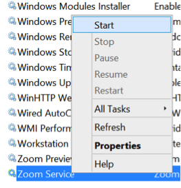Start Zoom Service - Windows Services