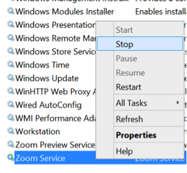 Stop Zoom Service - Windows Services
