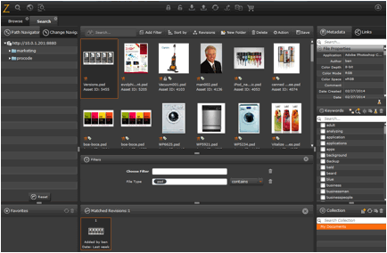 Asset Browser Interface