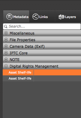 Metadata groups ordering