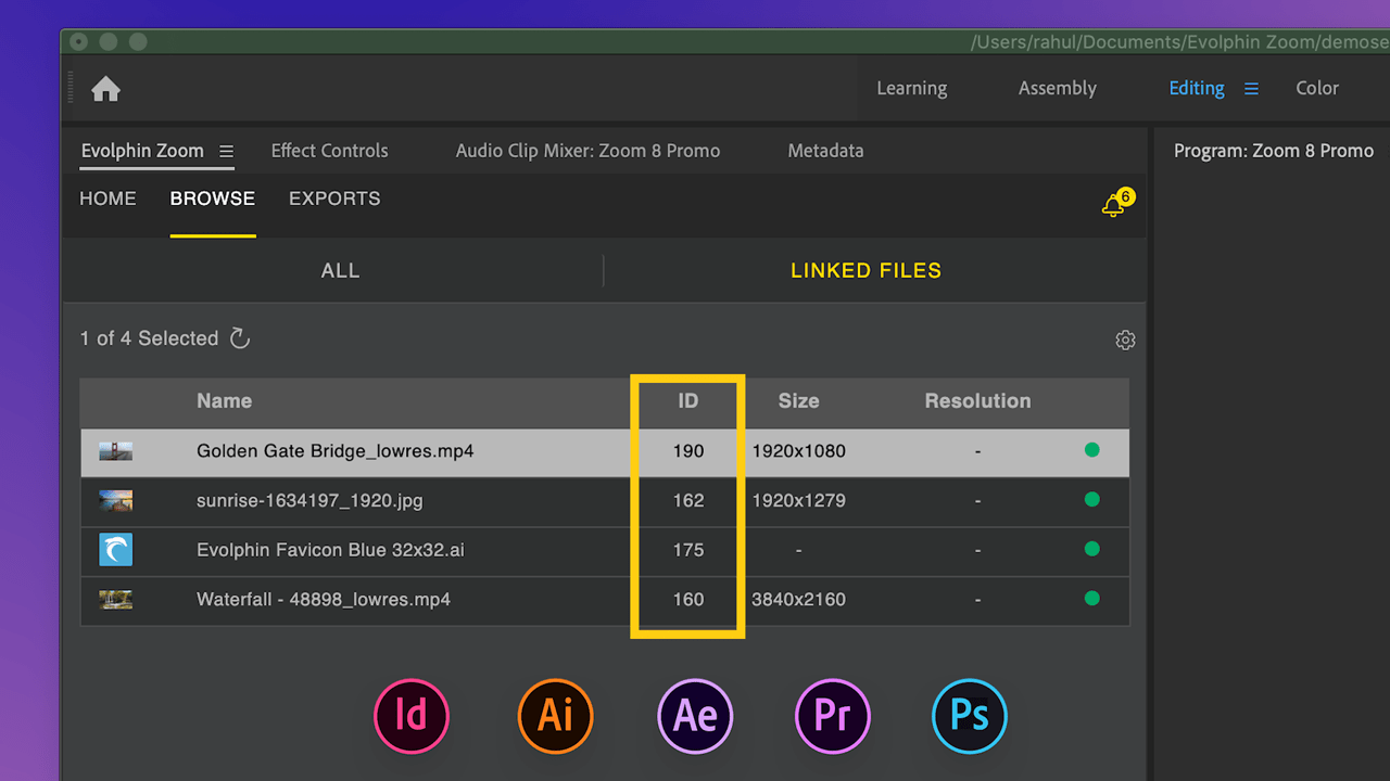 Adobe CC Resolve Links