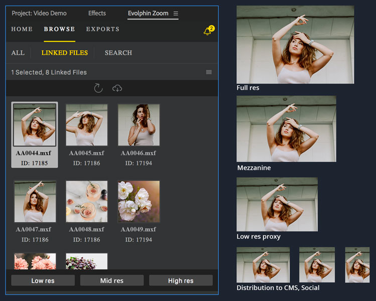 Screenshot of Zoom Media Asset Management Software Linked Files Pane