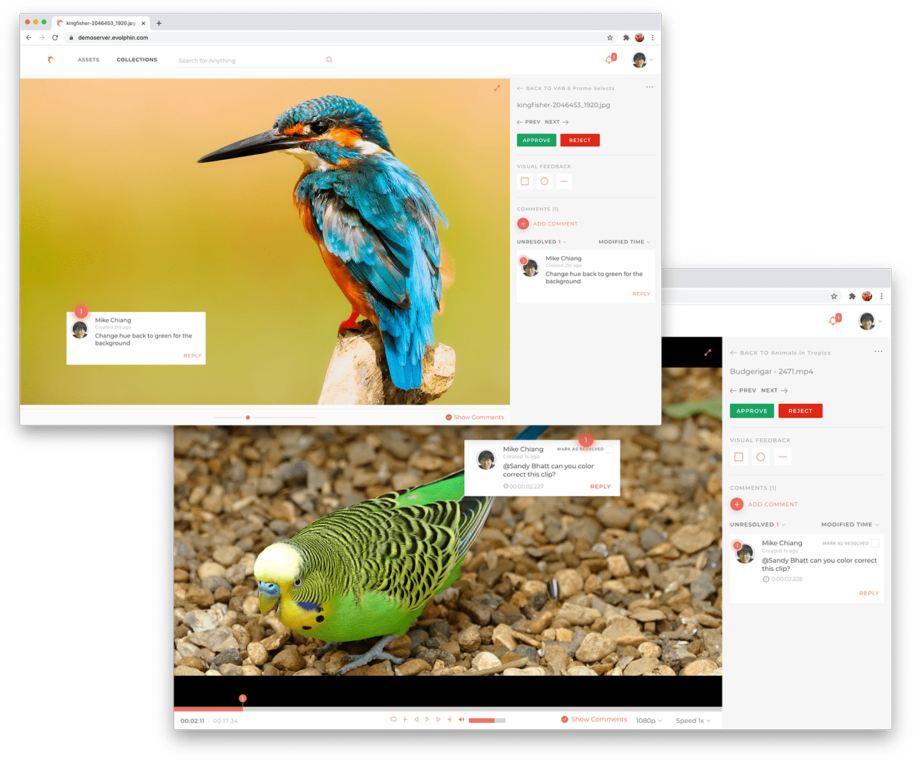 Screenshot of Evolphin Media Asset Management (MAM) System's Web Collection Marker Comment Feature.
