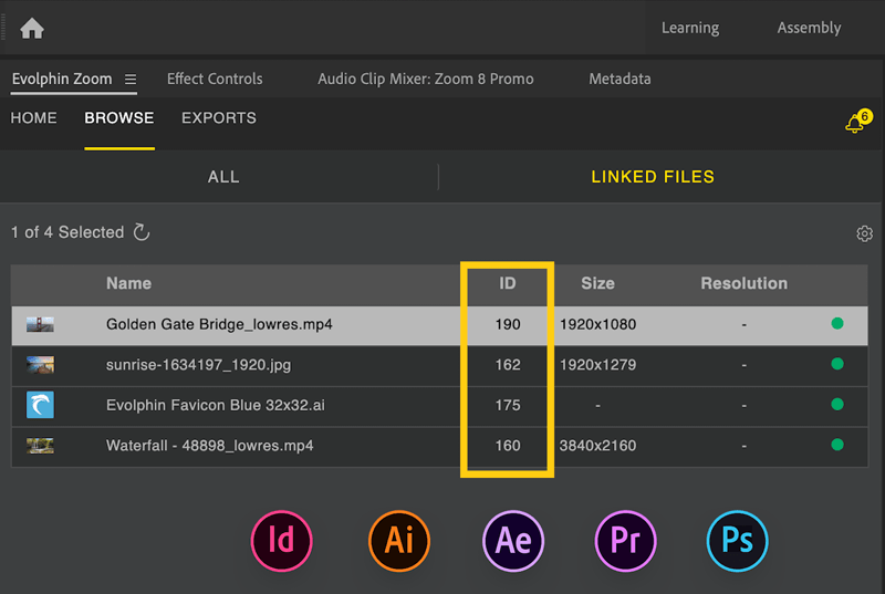 Screenshot of Evolphin Zoom MAM showing highlighted IDs